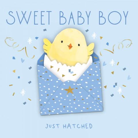 Felicitari si pungi cadou - Felicitare bebelusi Sweet Baby Boy model pui