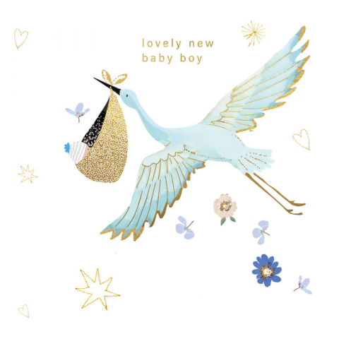 Felicitari si pungi cadou - Felicitare nou nascuti model barza Lovely Baby Boy 