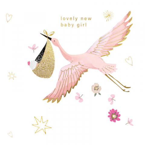 Felicitari si pungi cadou - Felicitare nou nascuti model barza Lovely Baby Girl