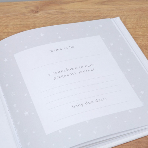 Jurnal pentru gravide - Bambino by Juliana [1]
