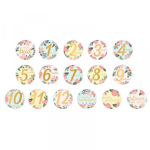 Set cadou caietul bebelusului model floral - Pearhead [6]