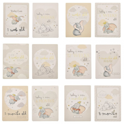Set cartonase milestone pentru primele evenimente ale bebelusului - Dumbo [1]