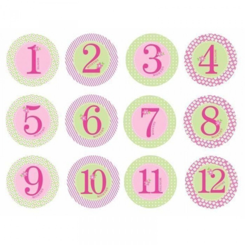 Cadouri nou-nascuti - Stickere milestones pentru primul an - Pearhead - roz