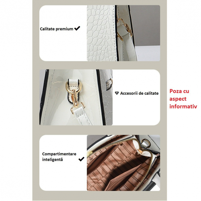 Geanta dama Romola SC76 [6]