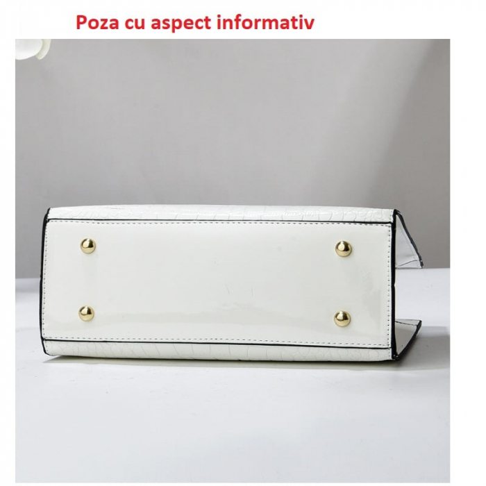 Geanta dama Romola SC76 [5]