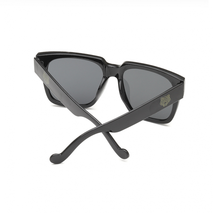 Ochelari de soare unisex AVAMSI 2571 Wayfarer, Negru [4]
