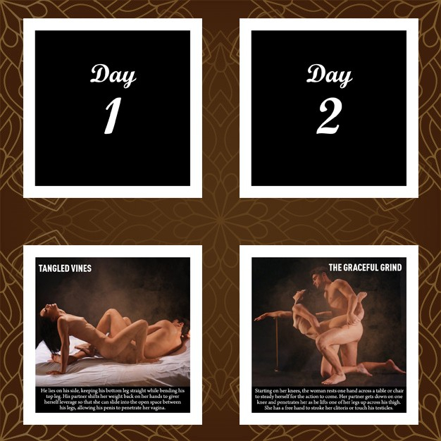 365 Days of Kamasutra, joc erotic pentru cupluri si adulti cu pozitii si cartonase grafice, limba engleza [4]