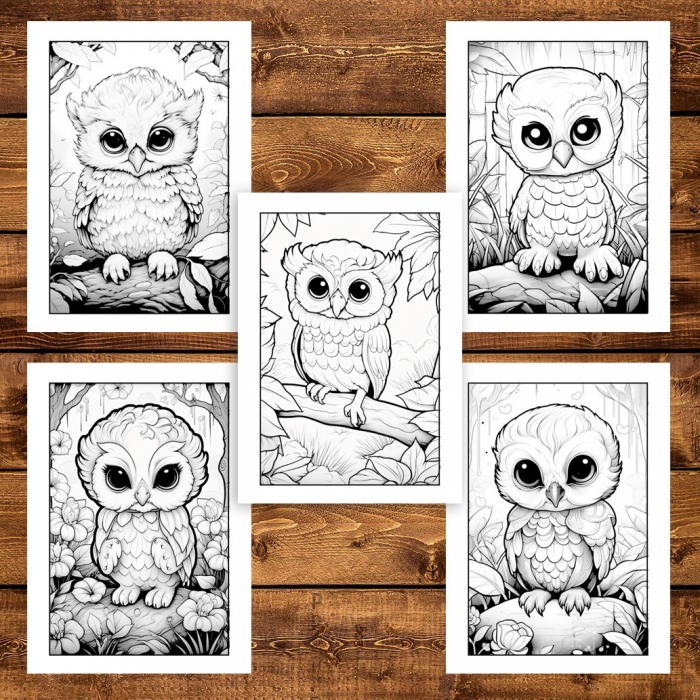Carte de colorat, 50 de ilustratii, Bebe bufnite, 106 pagini [4]