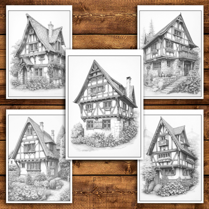 Carte de colorat antistres , 25 de ilustratii Casute Bavareze, 56 pagini [5]