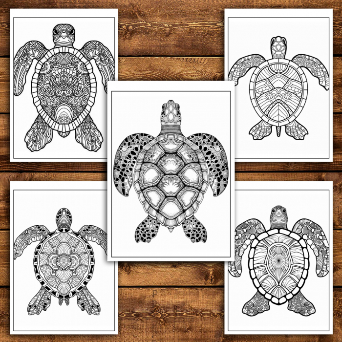 Carte de colorat antistres , 30 de ilustratii Mandala Broaste Testoase, 66 pagini [4]