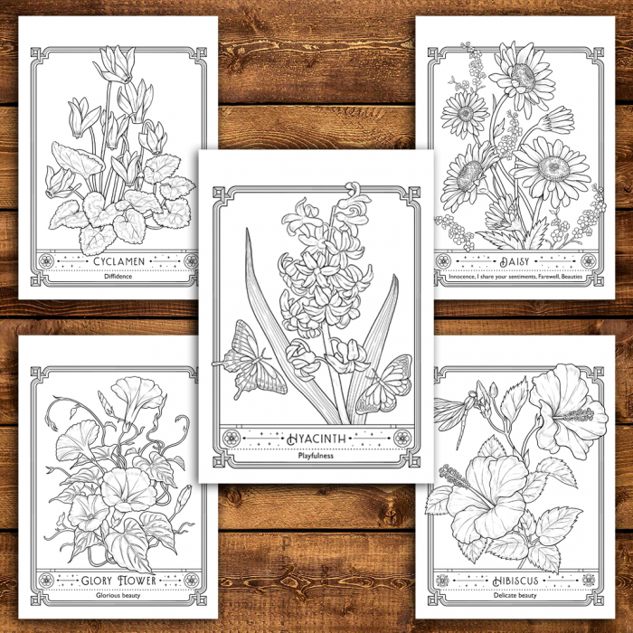 Carte de colorat antistres , 40 de ilustratii The Language of Flowers, 86 pagini [4]