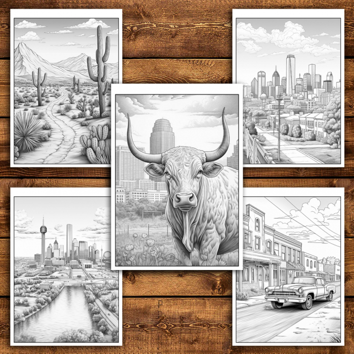 Carte de colorat antistres , 45 de ilustratii Texas, 96 pagini [4]