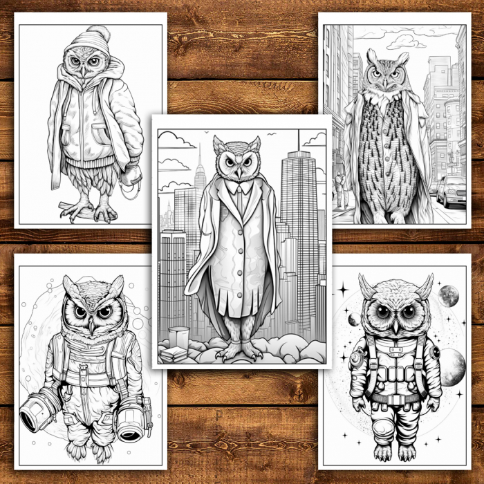 Carte de colorat antistres , 50 de ilustratii Fantasy Owl, 106 pagini [5]