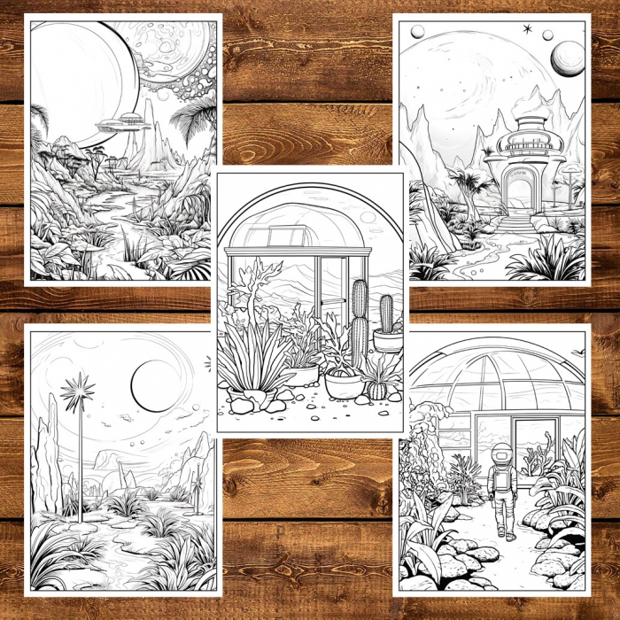 Carte de colorat pentru adulti, 50 de ilustratii, Gardens of the Galaxy, 106 pagini [6]