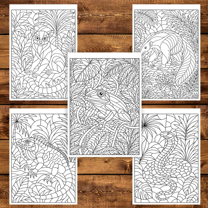 Carte de colorat pentru copii , 50 de ilustratii Animale din Jungla, 106 pagini [4]