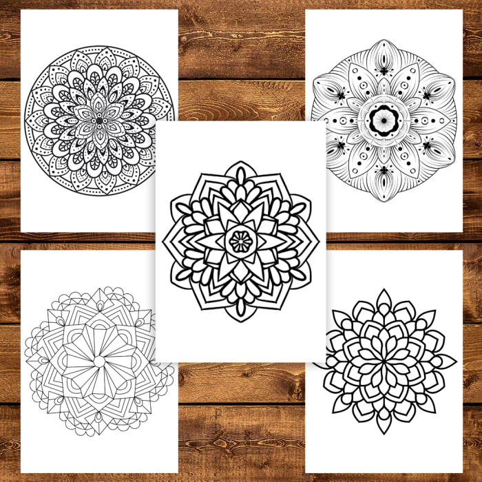 Carte de colorat pentru copii , 50 de ilustratii Mandale Complexe, 106 pagini [5]