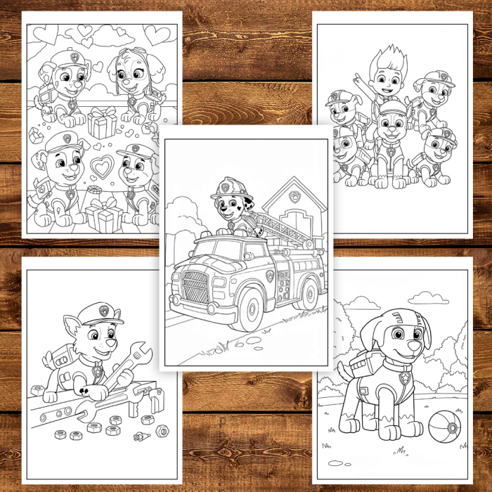 Carte de colorat pentru copii , 50 de ilustratii Paw Patrol - Volumul I, 106 pagini [5]