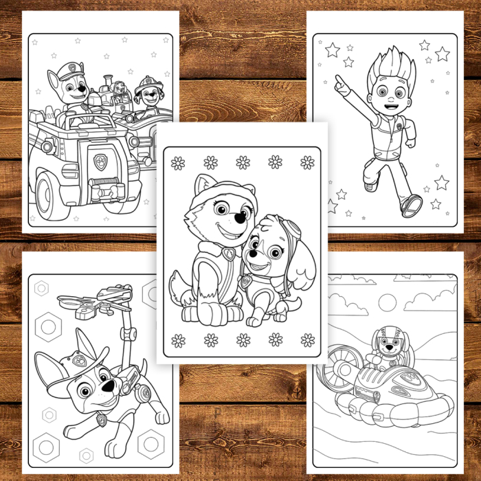 Carte de colorat pentru copii , 50 de ilustratii Paw Patrol - Volumul II, 106 pagini [4]