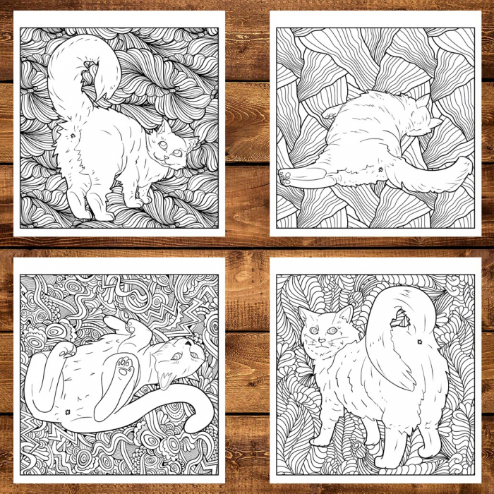 Carte de colorat pentru relaxare si antistres, 30 de ilustratii, Funduri de pisici, 66 pagini [3]