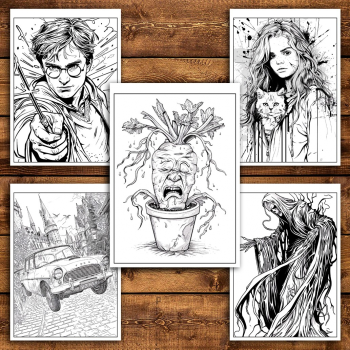Carte de colorat pentru relaxare si antistres, 46 de ilustratii, Minunile din Hogwarts, 98 pagini [6]