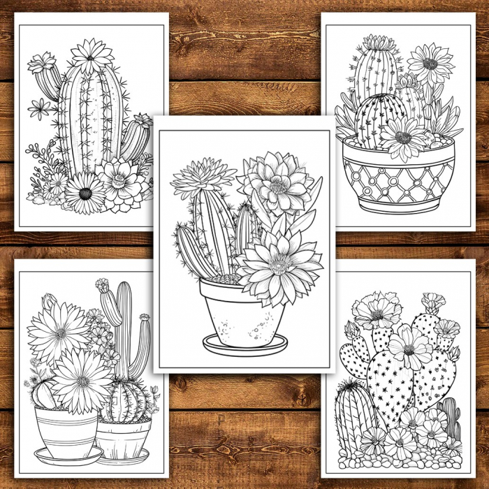 Carte de colorat pentru relaxare si antistres, 50 de ilustratii, Cactusi - Volumul I, 106 pagini [4]