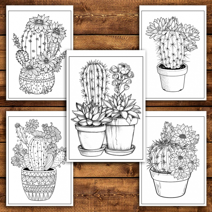 Carte de colorat pentru relaxare si antistres, 50 de ilustratii, Cactusi - Volumul I, 106 pagini [5]