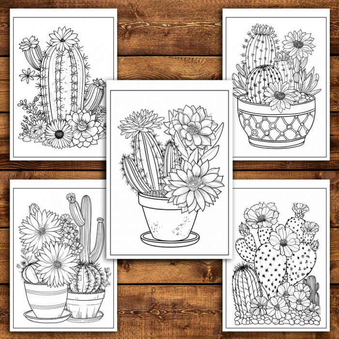Carte de colorat pentru relaxare si antistres, 50 de ilustratii, Cactusi - Volumul I, 106 pagini [4]