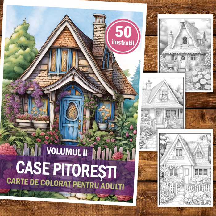 Carte de colorat pentru relaxare si antistres, 50 de ilustratii, Case Pitoresti - Volumul II, 106 pagini [2]