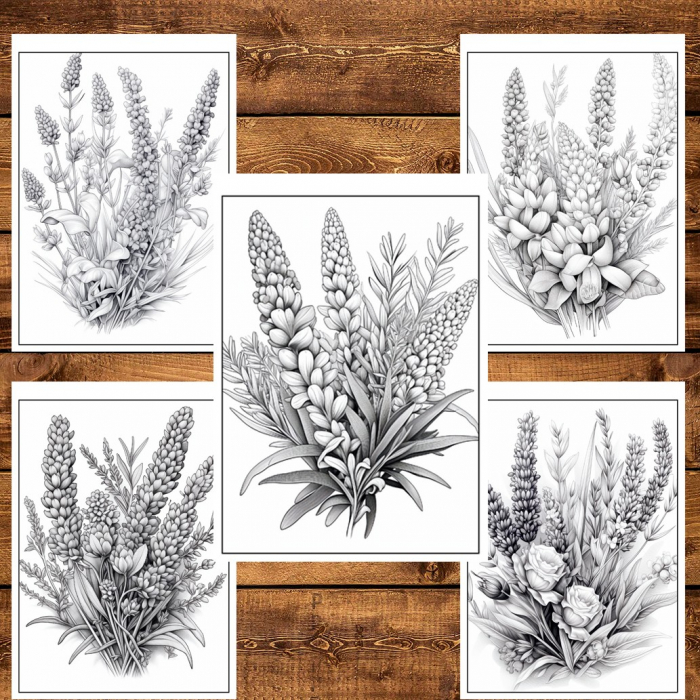 Carte de colorat pentru relaxare si antistres, 50 de ilustratii, Lavanda, 106 pagini [4]