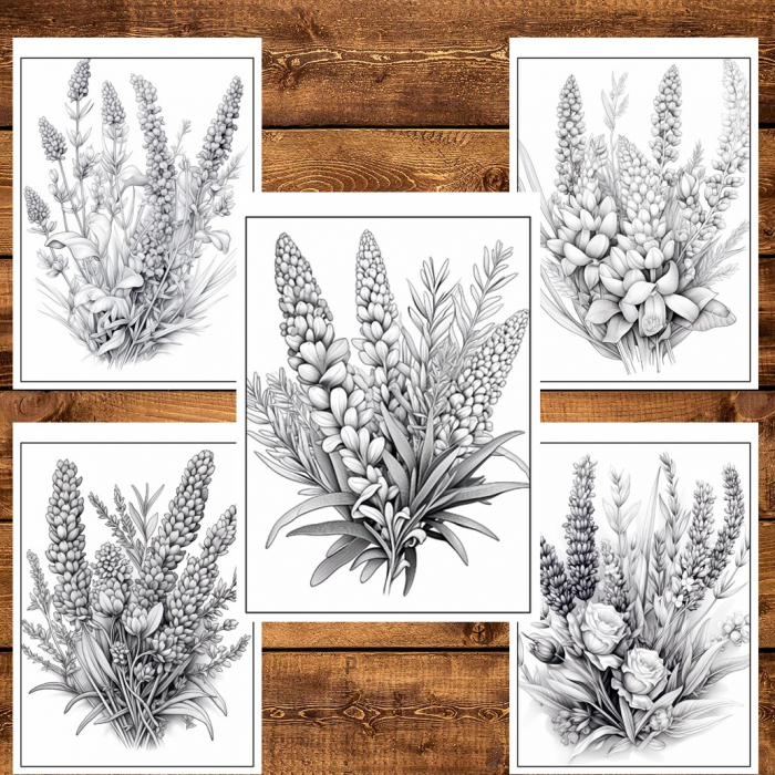 Carte de colorat pentru relaxare si antistres, 50 de ilustratii, Lavanda, 106 pagini [4]