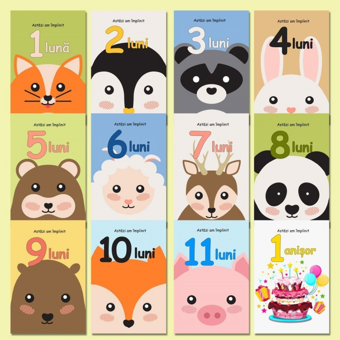 Set 50 cartonase pentru nou-nascut "Primul meu anisor", 10x6cm, Baby Milestone [2]