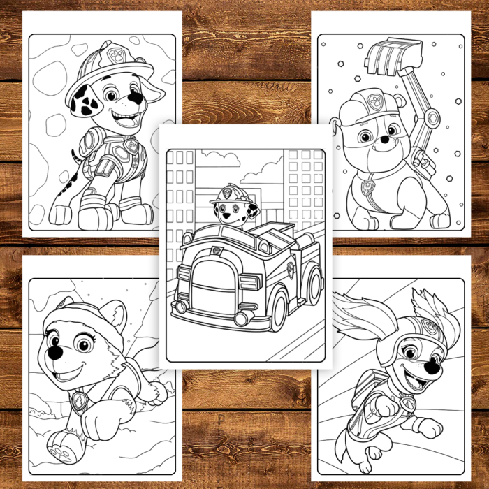 Martisor de colorat pentru copii, 50 de ilustratii format A6 in cutie cu tematica de primavara, model: Paw Patrol [3]