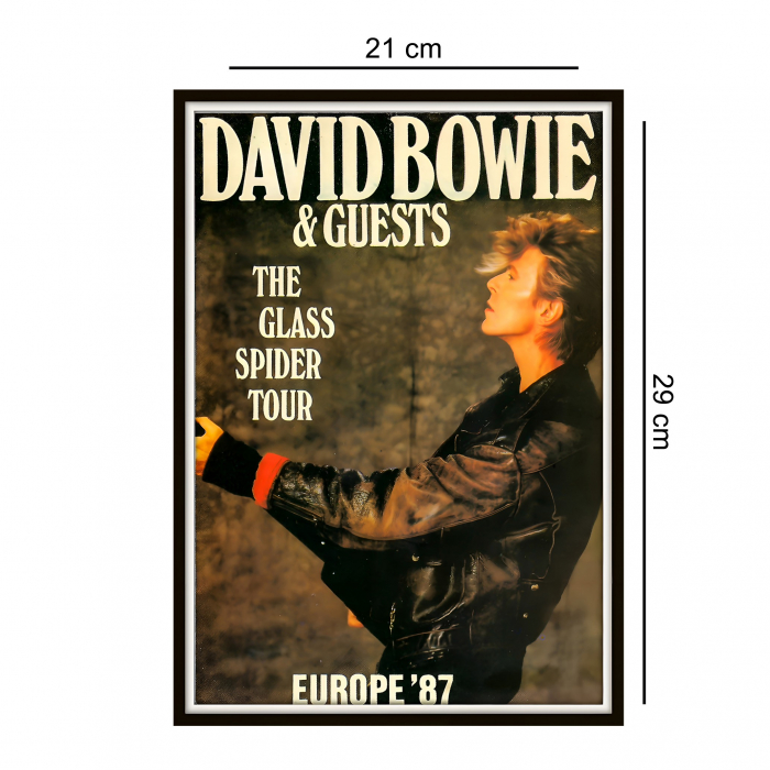 Set 25 de postere Rock [5]