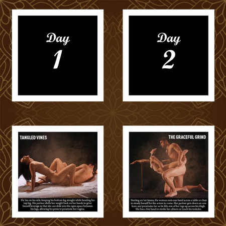 365 Days of Kamasutra, joc erotic pentru cupluri si adulti cu pozitii si cartonase grafice, limba engleza [3]