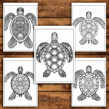 Carte de colorat antistres , 30 de ilustratii Mandala Broaste Testoase, 66 pagini [3]