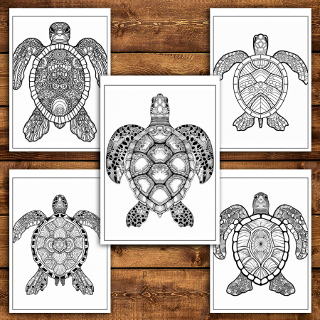 Carte de colorat antistres , 30 de ilustratii Mandala Broaste Testoase, 66 pagini [3]