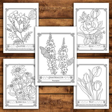 Carte de colorat antistres , 40 de ilustratii The Language of Flowers, 86 pagini [4]