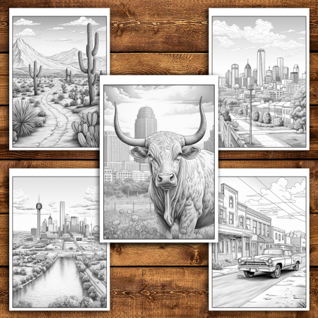 Carte de colorat antistres , 45 de ilustratii Texas, 96 pagini [3]
