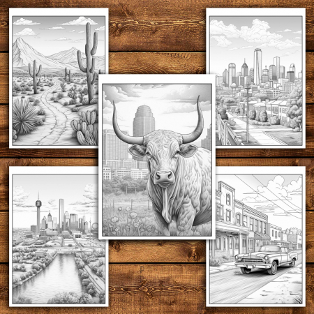 Carte de colorat antistres , 45 de ilustratii Texas, 96 pagini [3]
