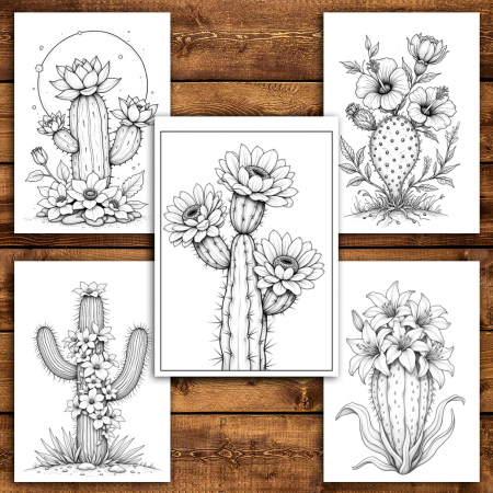 Carte de colorat antistres , 50 de ilustratii Cactusi cu Flori, 106 pagini [3]