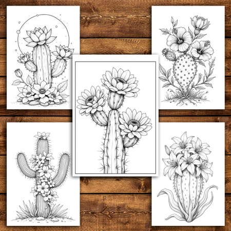 Carte de colorat antistres , 50 de ilustratii Cactusi cu Flori, 106 pagini [3]