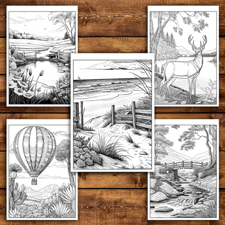Carte de colorat antistres , 50 de ilustratii Peisaje Simple, 106 pagini [3]