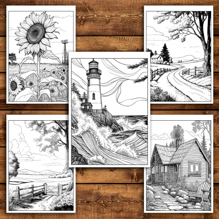 Carte de colorat antistres , 50 de ilustratii Peisaje Simple, 106 pagini [4]