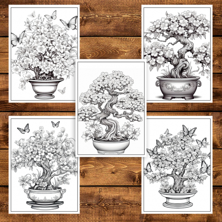 Carte de colorat pentru adulti, 50 de ilustratii, Bonsai, 106 pagini [4]