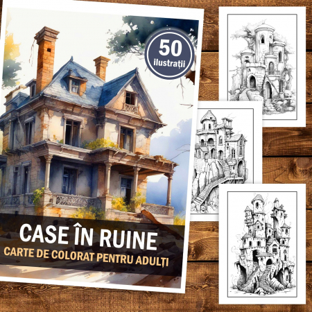 Carte de colorat pentru adulti, 50 de ilustratii, Case in ruine, 106 pagini [1]