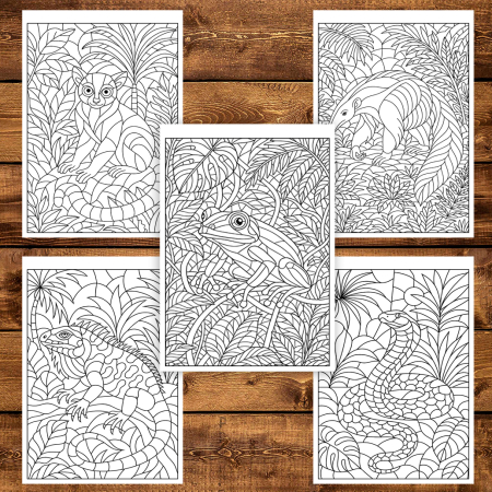 Carte de colorat pentru copii , 50 de ilustratii Animale din Jungla, 106 pagini [3]