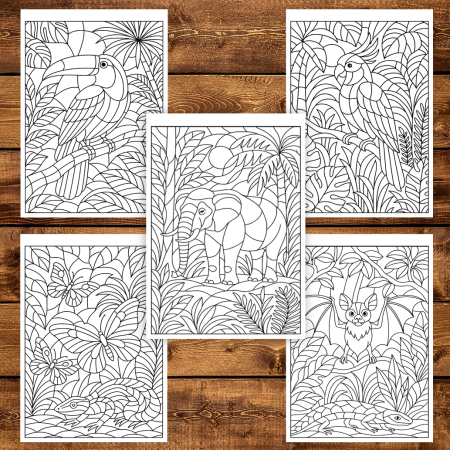 Carte de colorat pentru copii , 50 de ilustratii Animale din Jungla, 106 pagini [4]