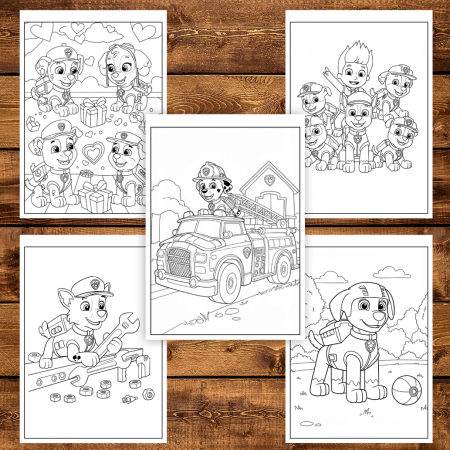 Carte de colorat pentru copii , 50 de ilustratii Paw Patrol - Volumul I, 106 pagini [4]