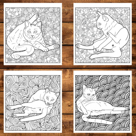 Carte de colorat pentru relaxare si antistres, 30 de ilustratii, Funduri de pisici, 66 pagini [3]