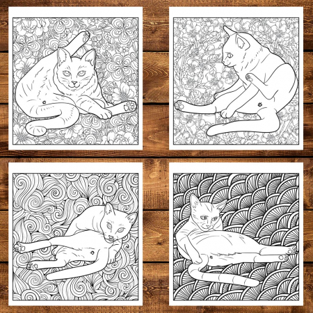 Carte de colorat pentru relaxare si antistres, 30 de ilustratii, Funduri de pisici, 66 pagini [3]